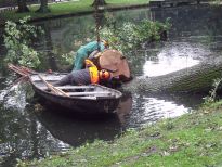 Bergung der 150 jährigen Eiche aus dem Wasserzug