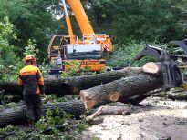 Räumungsarbeiten nach Sturmschäden