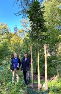 Michael Frieß (rechts) übergibt die Stileichen an den Parkdirektor Tim Großmann (links)