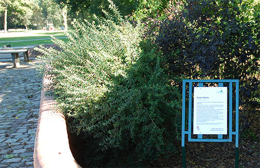 Ehrentafel für Gisela Bentz, der Gründerin des Spieltreffs im Bremer Bürgerpark