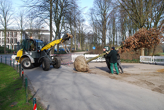 Entladung der Spenderbäume für den Bremer Bürgerpark