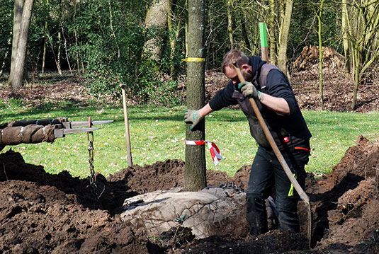 Pflanzungen der Spenderbäume im Bremer Bürgerpark