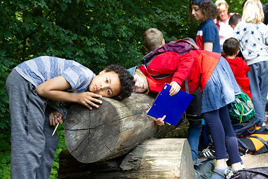 Baumtelefon am Naturlern- und Erlebnispfad