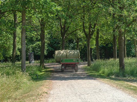 Transport des Heus in die Scheune